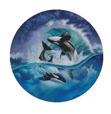 Beautiful Sewing Whales kit 18 - Embroidery Whale 评论和价格
